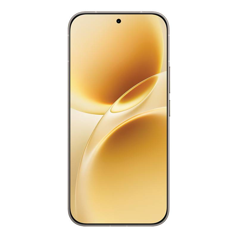 smart-phone-vivo-v70-12-512gb-gray-2
